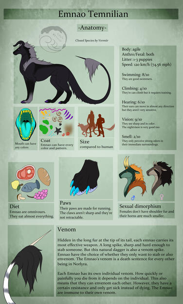 Anatomie