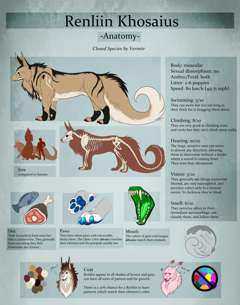 Anatomie